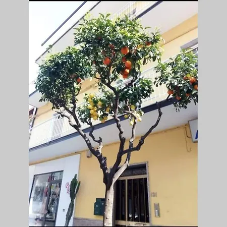 Loft Ad A 15 Metri Dal Mare Con Tutti I Confot * Amantea
